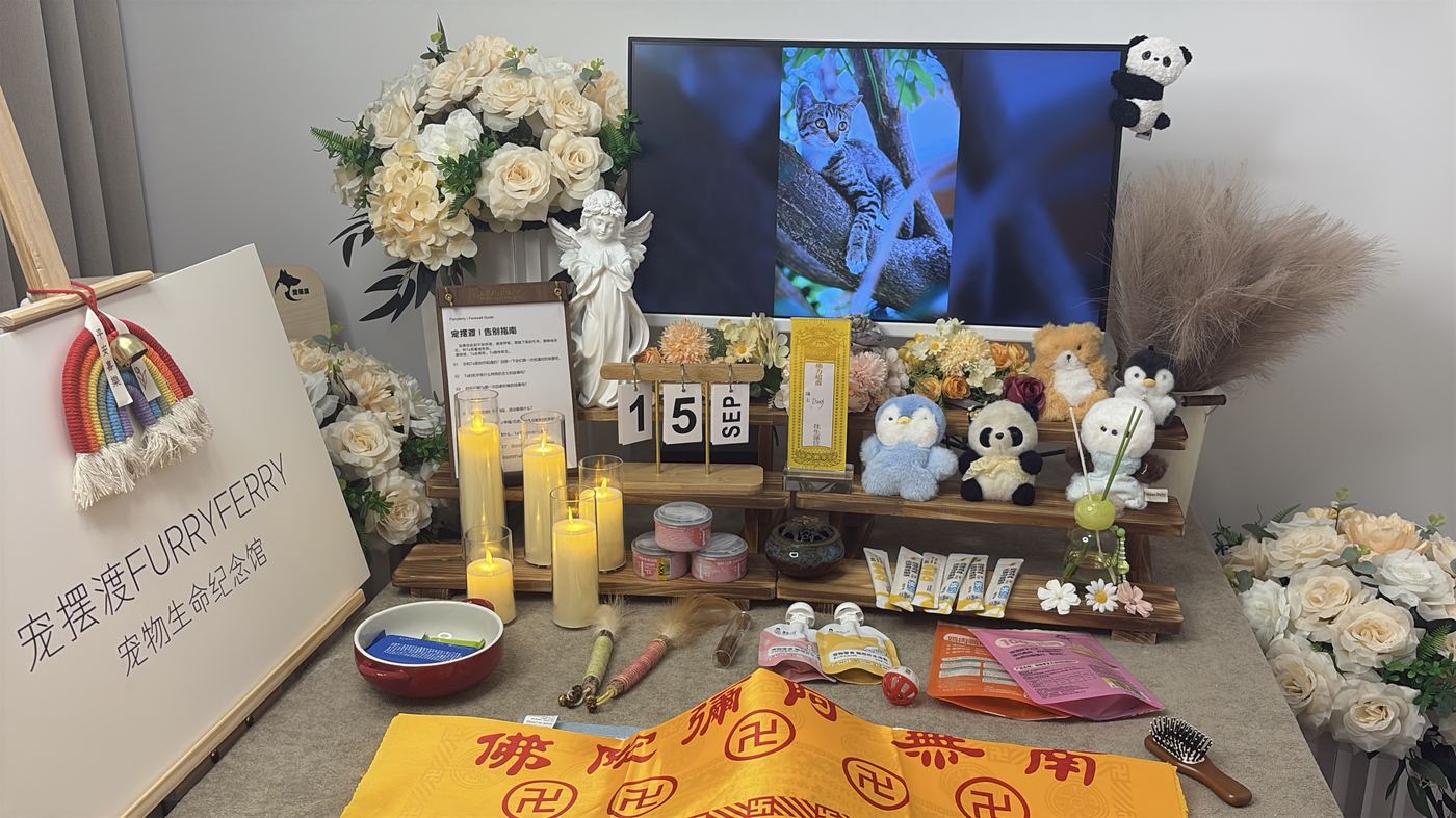 廊坊宠物告别厅布置：如何给京津走廊家属一个体面的告别