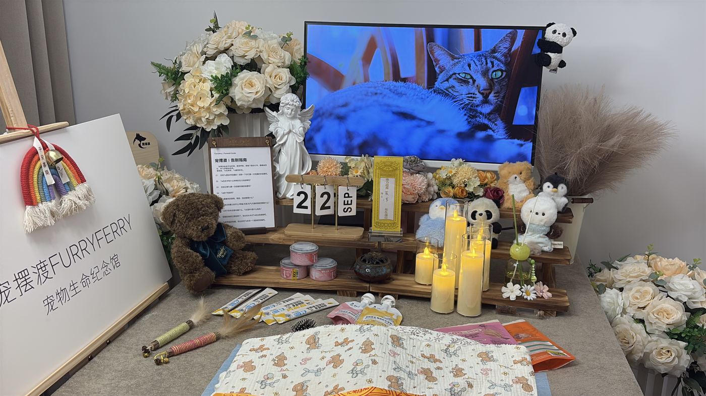 骨灰安置怎么选？廊坊常见的五种安葬方式对比
