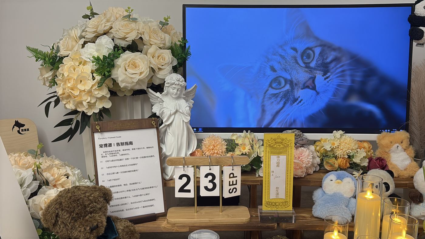 怎么拿到死亡证明
